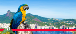 R�o de Janeiro Enero. 8D/7N