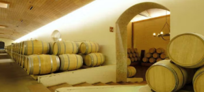 Excursi�n a la Vi�a Concha y Toro